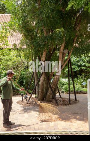 Jardiniers vus au travail dans le jardin botanique de Singapour, Banque D'Images