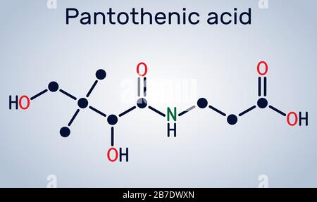 Acide pantothénique, vitamine B 5, molécule pantothénate. Formule chimique structurelle. Illustration vectorielle Illustration de Vecteur