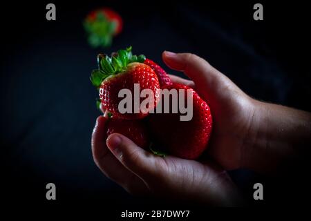 Belles fraises rouges avec fond noir et pluie légère Banque D'Images