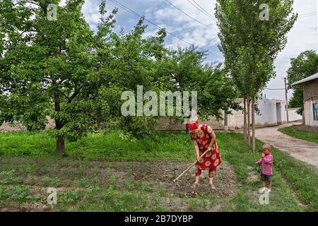 Femme ouzbek travaillant sur le terrain avec son enfant à côté, à Rishtan, en Ouzbékistan. Banque D'Images