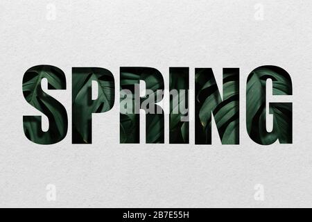 Écrivez `` printemps '' à partir de lettres avec pétales de fleurs. Banque D'Images