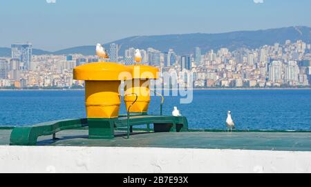 Seagulles assis sur le toit d'un ferry amarré à Buyukada, 1 des îles Princes AKA Adalar dans la mer de Marmara. Istanbul est en arrière-plan Banque D'Images