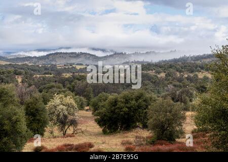 Nuages et brume sur les collines ondulantes au printemps avec le poirier en fleur, les chênes et le sarrasin côtiers vivants dans le paysage de Julian Californie Banque D'Images