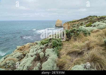 Vue sur le paysage côtier près des douze Apôtres, sur la Great Ocean Road, Victoria, Australie Banque D'Images