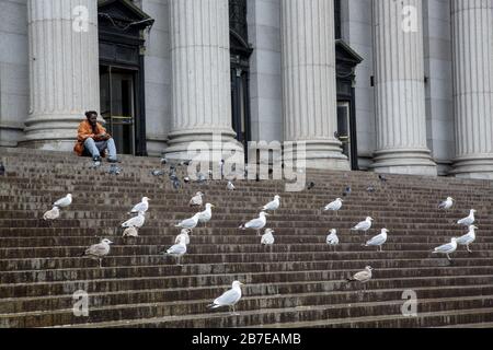 Les pigeons et un homme solitaire occupent les marches du bâtiment classique de la poste américaine sur la 8ème Avenue et la 33ème rue à Manhattan. Le bâtiment James A. Farley est le principal bâtiment des services postaux des États-Unis à New York. Il est situé à Midtown Manhattan et a été construit avec l'original Pennsylvania Station en 1912. Banque D'Images