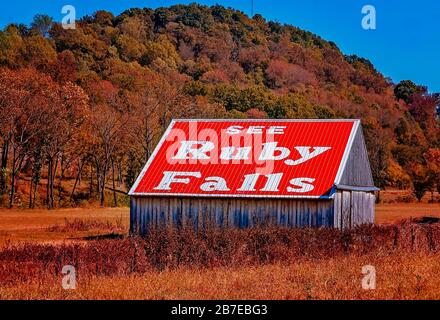 Une grange est peinte avec un panneau « Voir les chutes Ruby », 7 octobre 2010, sur la I-24 à Wartrace, Tennessee. Banque D'Images