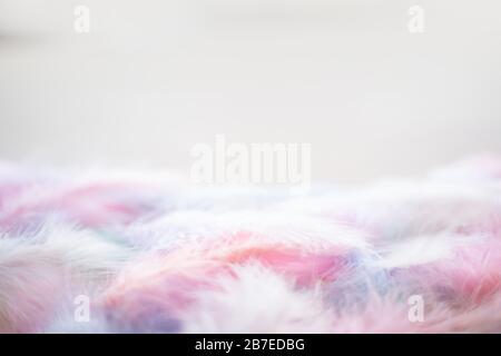 Corail rose bleu vert pastel couleur tendances plume texture fond pâques vacances douceur concept Banque D'Images