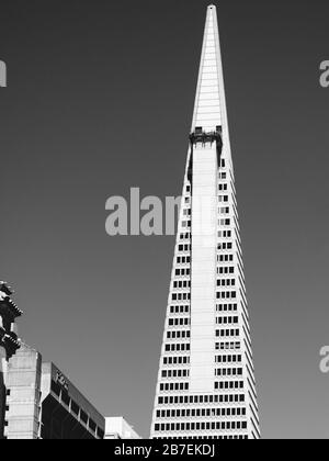 Gros plan de la partie supérieure du Transamerica Pyramid Building, San Francisco en niveaux de gris Banque D'Images