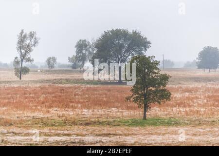 Vue sur le cric à huile de pompe en arrière-plan dans la campagne industrielle du Kansas sur le terrain trouble misty jour dans le champ Banque D'Images