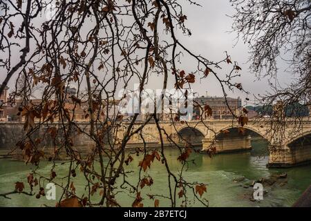 Paysage d'hiver dans la ville de Rome avec vue sur la rivière Tiber à travers les branches. Rome, Italie, Europe Banque D'Images