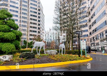 Reston, USA - 10 décembre 2019: Plaza America près du centre avec décorations de Noël d'hiver et signe d'architecture pour Melting Pot Fondue restaurant i Banque D'Images