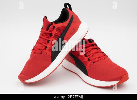 Paire de chaussure clearance puma