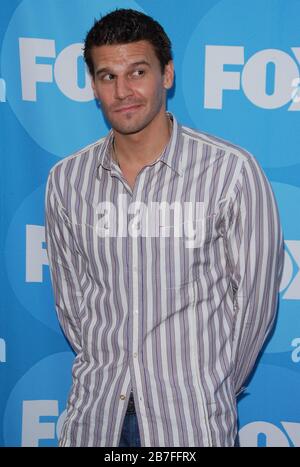 David Boreanaz au FOX 2006 Summer TCA All Star Party tenu à l'hôtel Ritz Carlton Huntington, Horseshoe Garden à Pasadena, CA. L'événement a eu lieu le mardi 25 juillet 2006. Photo par: SBM / PictureLux Banque D'Images