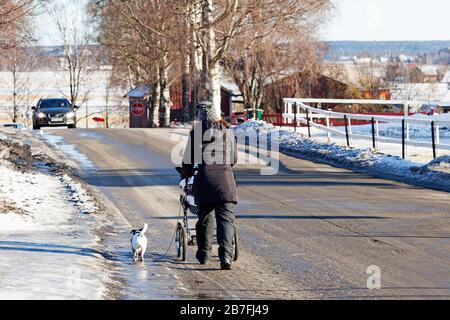 Umea, Norrland Suède - 3 mars 2020: Une mère avec une poussette est en train de marcher son chien dans la lumière du soleil Banque D'Images