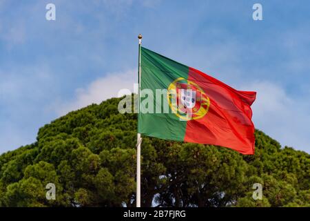 Drapeau portugais agitant au vent à Lisbonne, Portugal Banque D'Images