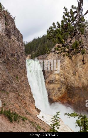 Les hautes et puissantes chutes inférieures de la rivière Yellowstone qui tombe dans le canyon escarpé avec des personnes non identifiables sur une plate-forme d'observation près de l' Banque D'Images