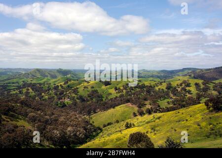 Les collines vallonnées du belvédère de Murchison, pays de haute Victoria Banque D'Images