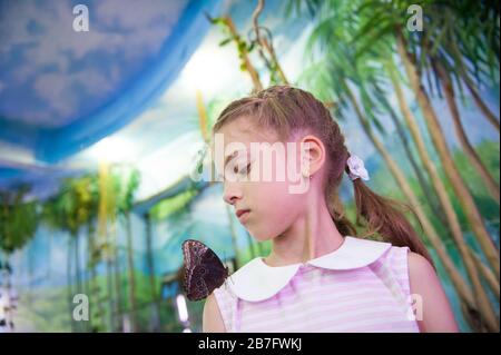 petite fille intéressée regardant l'insecte papillon assis sur son épaule dans insectarium Banque D'Images