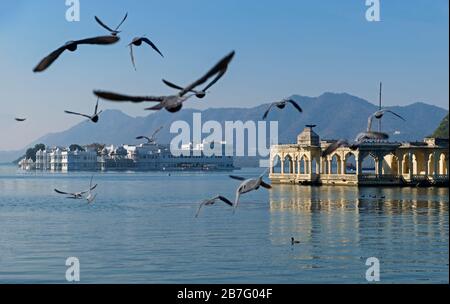 Mohan Mandir Et Lake Palace Lac Pichola Udaipur Rajasthan Inde Banque D'Images