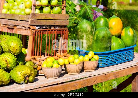 Sri Lanka Triangle culturel Anuradhapura exotique fruit tropical décrochage bois boîtes pommes limes citrons graviola paw papaye païa sucre de bord de route Banque D'Images