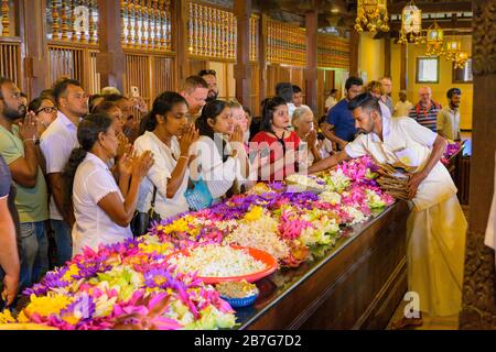 Sri Lanka Kandy Sinhala capitale ancienne Temple Sri Dalada Maligawa du bouddhisme bouddhiste à dent sacrée offre florale intérieure adorateurs Banque D'Images