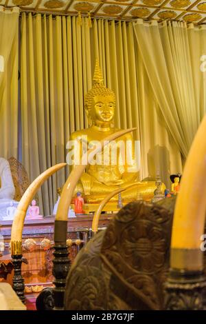 Sri Lanka Kandy Sinhala capitale ancienne Temple Sri Dalada Maligawa du bouddhisme bouddhiste Rélique à dent sacrée temple de statue dorée de Bouddha intérieur Banque D'Images