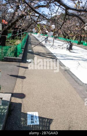 Les avis d'interdiction de la fête d'observation des cerisiers en fleurs sont affichés au parc Ueno à Tokyo, au Japon, le 16 mars 2020, au milieu de la nouvelle propagation du coronavirus. (Photo par AFLO) Banque D'Images