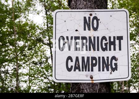 Un vieux panneau de camping sans nuit cloué à un arbre au Canada. Banque D'Images