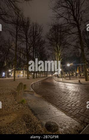 La Haye - 18 février 2019 : la Haye, Pays-Bas. Parc et rue à la Haye au crépuscule, longue exposition, rue humide en face, Pays-Bas Banque D'Images