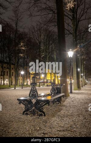 La Haye - 18 février 2019 : la Haye, Pays-Bas. Parc avec banc et lanternes de rue vintage à la Haye au crépuscule, exposition longue, humide Banque D'Images