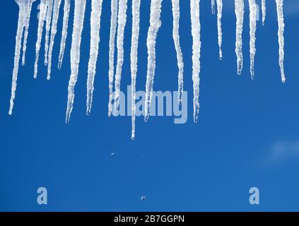 Les chutes de printemps descendent des longues icules de cristal qui coutent avant que le ciel bleu clair ne s'arrête sur une vue verticale ensoleillée et brillante Banque D'Images