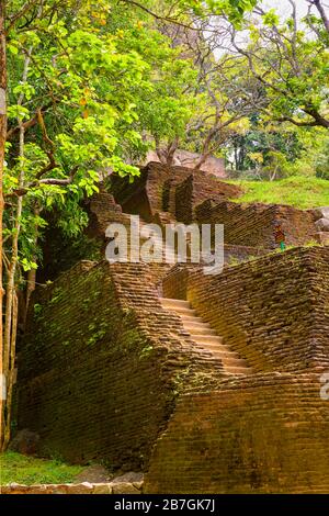 Asie du Sud Sri Lanka Sigiriya Rock Stone marches escaliers descente aux arbres d'entrée du Sud Banque D'Images