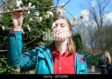 Une jeune femme sentant des fleurs de magnolia blanches dans un parc de la ville. Jardin botanique de Fomin. Kiev, Ukraine Banque D'Images