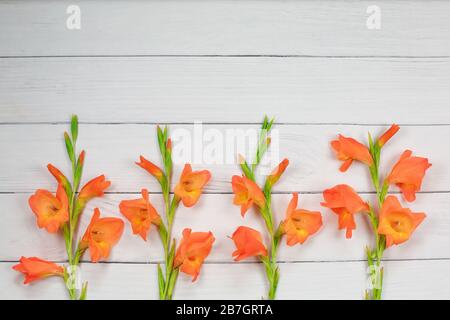 Belle fleur de gladiolus orange sur fond de bois. carte de vœux de vacances. Plat, vue du dessus Banque D'Images