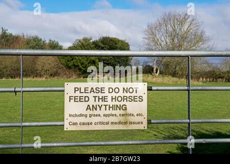 Signez sur la porte d'entrée: S'il vous plaît ne pas nourrir les chevaux, Angleterre Royaume-Uni Banque D'Images