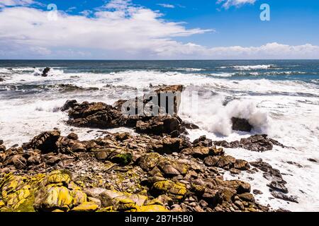 Vagues écrasant à la baie de Tauranga, côte ouest, Nouvelle-Zélande Banque D'Images