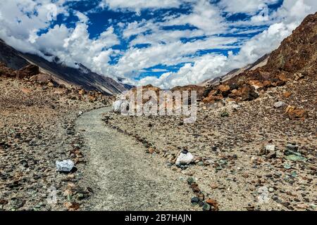 Sentier à pied vers le lac sacré Lohat TSO dans l'Himalaya. Vallée de Nubra, Ladakh, Inde Banque D'Images