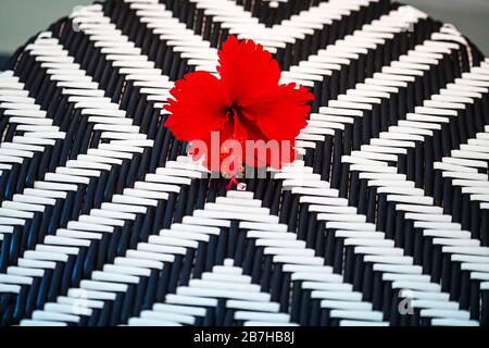 Chaise noire et blanche avec fleur tropicale rouge. Détendez-vous dans le complexe de vacances exotique. Fond en rotin artificiel blanc et noir. Banque D'Images