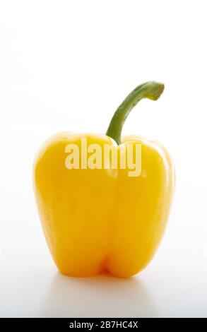 Une cloche jaune ou un poivre bulgare avec tige isolée sur fond blanc. Portrait vertical du légume sain intact. Nourriture correcte f Banque D'Images