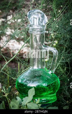 Récipient en verre avec potion de plantes vertes dans les bois. Élixir aux herbes et à la magie. Concept de médecine homéopathique Banque D'Images