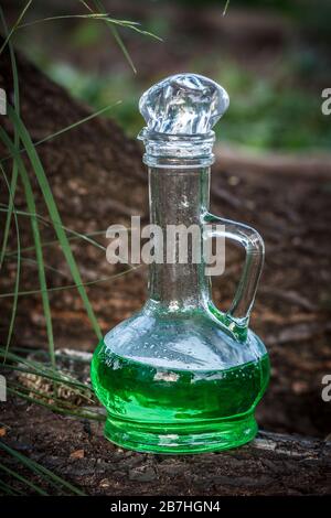 Récipient en verre vert avec décoction magique dans les bois sur le tronc d'un arbre tombé. L'herboristerie et élixir magique. Concept de la médecine homéopathique Banque D'Images