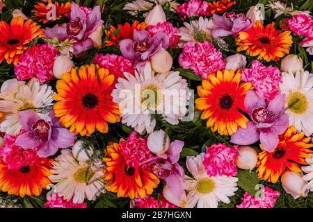 Télévision fleurs composition laïcs Banque D'Images