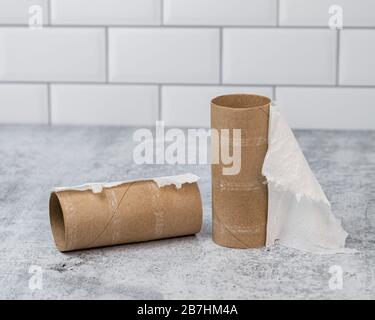 Rouleau vide de papier toilette dans la salle de bains. Concept de pénurie de l'offre et de la demande, de stockage et de stockage des biens ménagers Banque D'Images