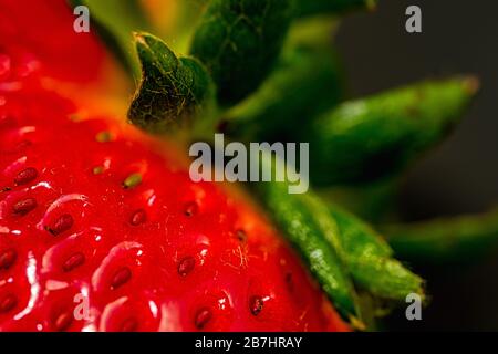 Fraise en photo macro, prise à la maison. Banque D'Images