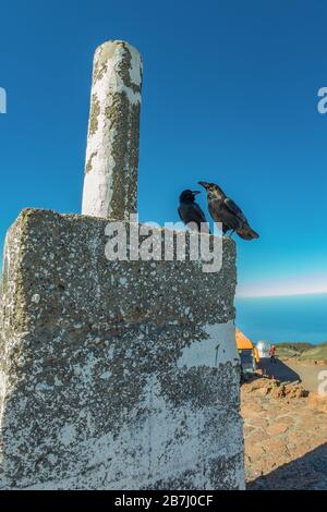 Roque de los Muchachos Viewpoint, la Palma, Espagne - 9 janvier 2019: Au-dessus des nuages. Deux grands corbeaux sont assis sur une colonne géodésique en béton. Natio Banque D'Images