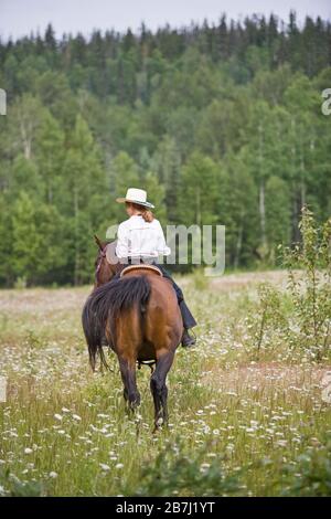 Fille cheval d'équitation par pré Banque D'Images