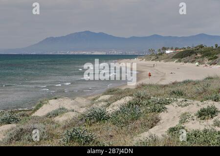 Parc naturel de Cabopino, Marbella, Costa del sol, province de Málaga, Andalousie, Espagne. Banque D'Images