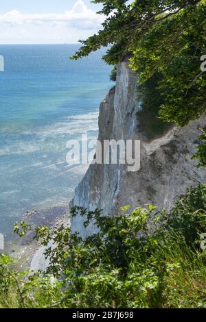 Falaises de craie sur l'île de Moen, Danemark, Europe Banque D'Images