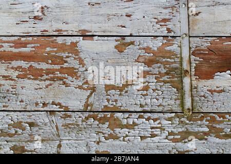 Texture de détail de la planche en bois : détail d'une planche en bois exfoliante recouverte à l'origine de couleur blanche Banque D'Images