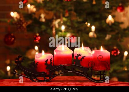 Bougies Avent sur le traîneau à renne ornemental devant l'arbre de Noël Banque D'Images